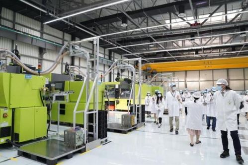 以質(zhì)量和嚴謹著稱的德企，為何落戶臨港經(jīng)濟技術(shù)開發(fā)區(qū)？